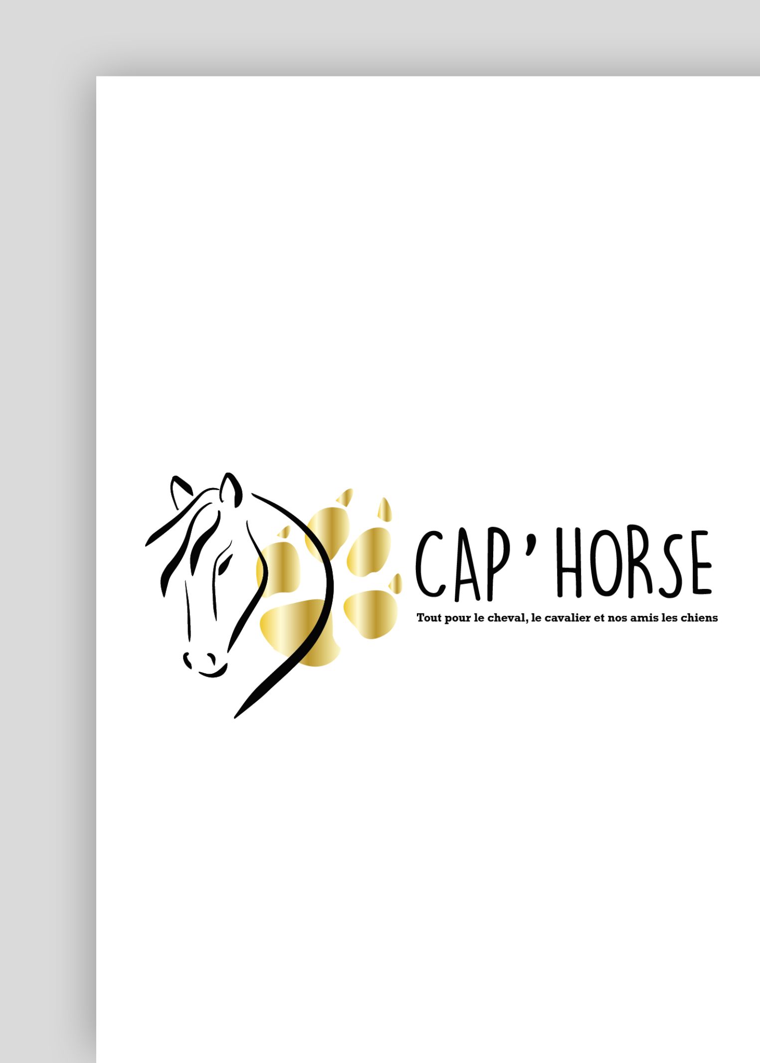 creation-logo-magasin-equitationcap-horse-jones-and-co-agence-de-communication-marseille-5